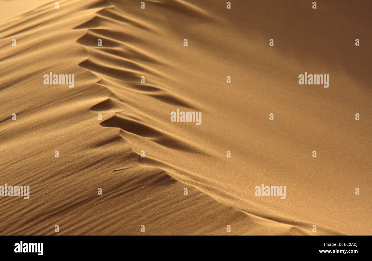 Ventoso duna di sabbia ridge Foto Stock