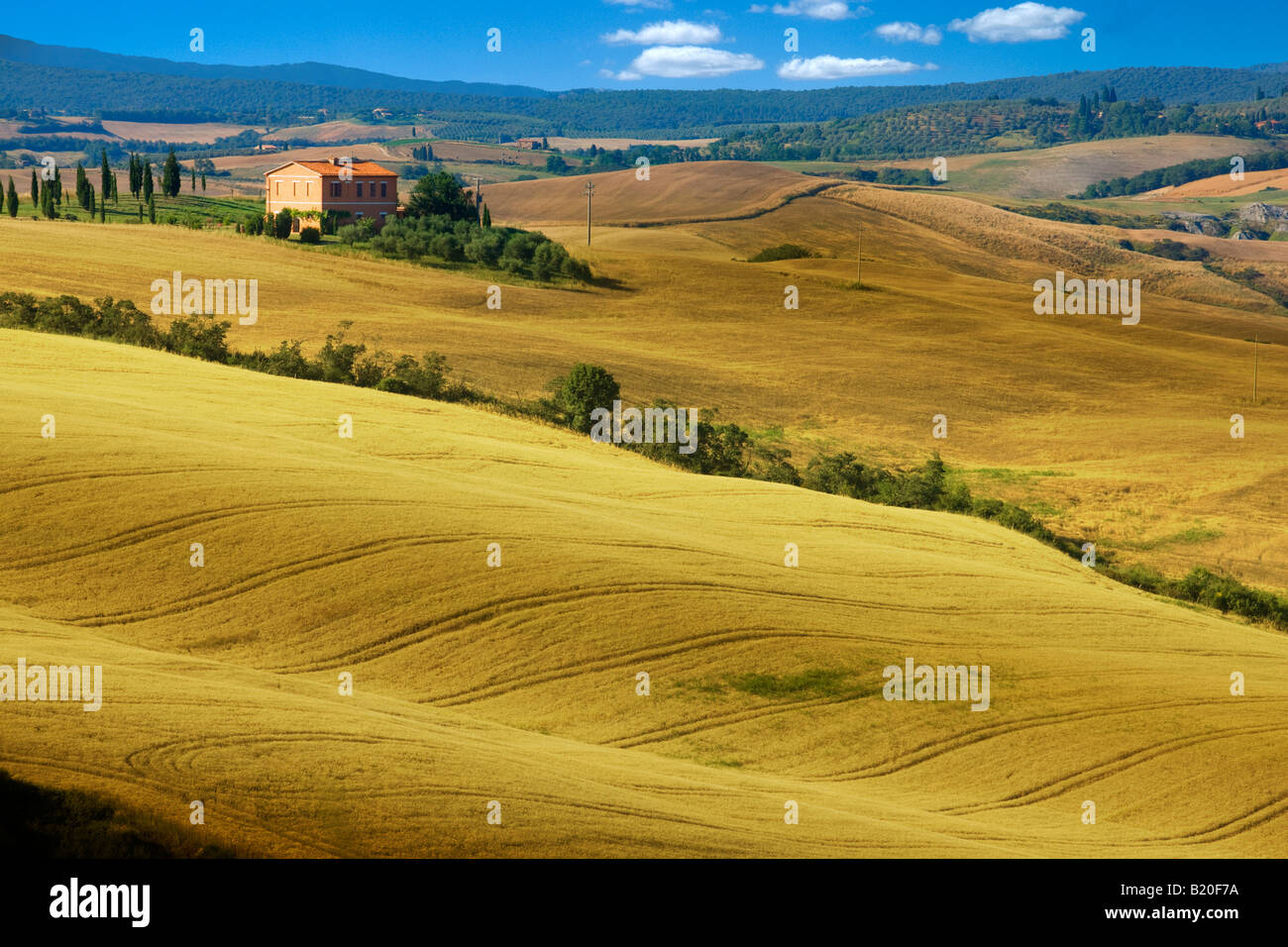 Paesaggio della Toscana vicino a montepulciano Foto Stock