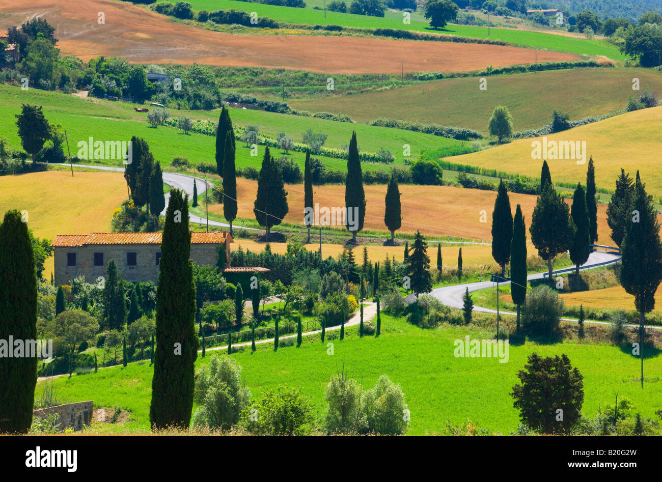 Il paesaggio nei pressi di Pienza Foto Stock