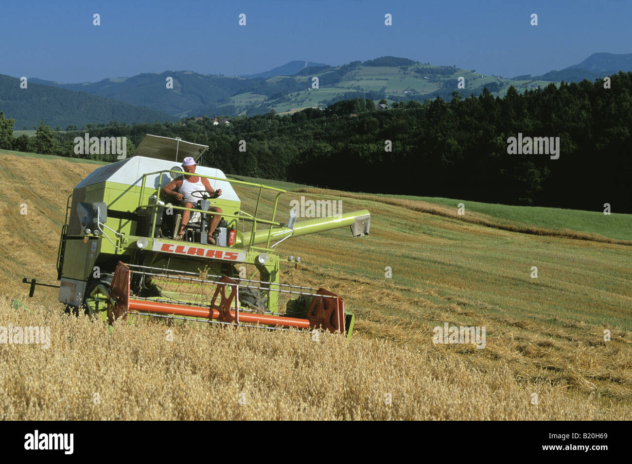 La mietitura del grano nella rurale Niederosterreich Austria Foto Stock