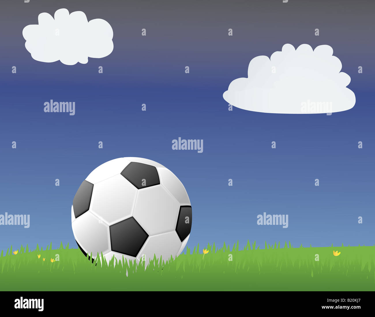 Pallone da calcio calcio in un verde campo erboso Foto Stock