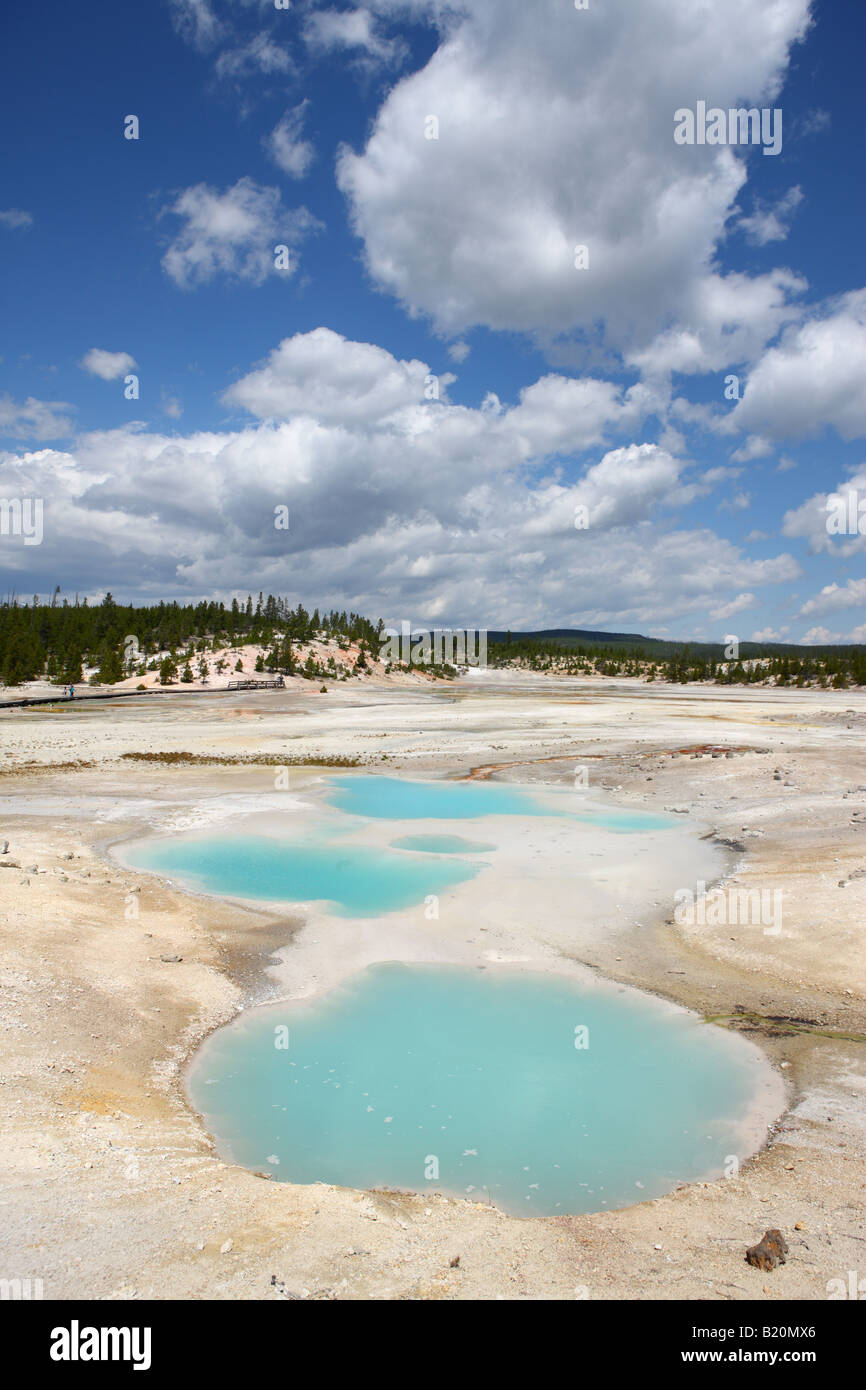 Norris Geyser Basin Parco Nazionale di Yellowstone Wyoming USA Foto Stock