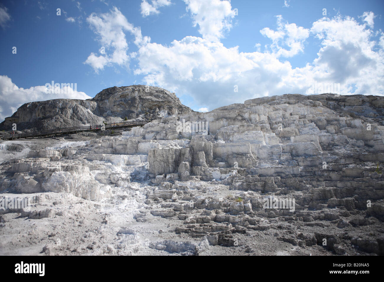 Terrazze inferiori a Mammoth Hot Springs il Parco Nazionale di Yellowstone Foto Stock