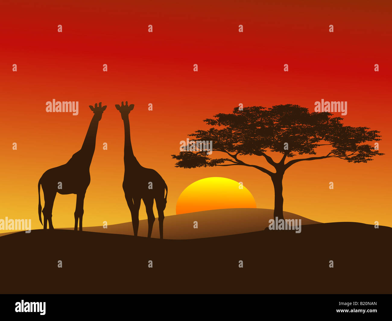 Silhouette di giraffe sul Serengeti Foto Stock