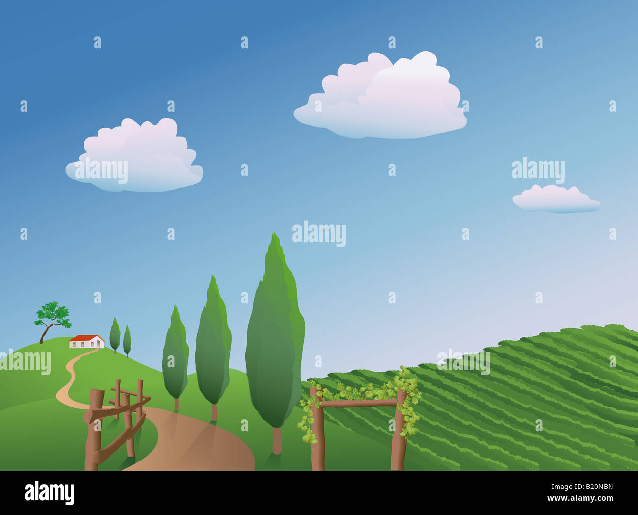 Illustrazione vettoriale di un vigneto in primavera Foto Stock