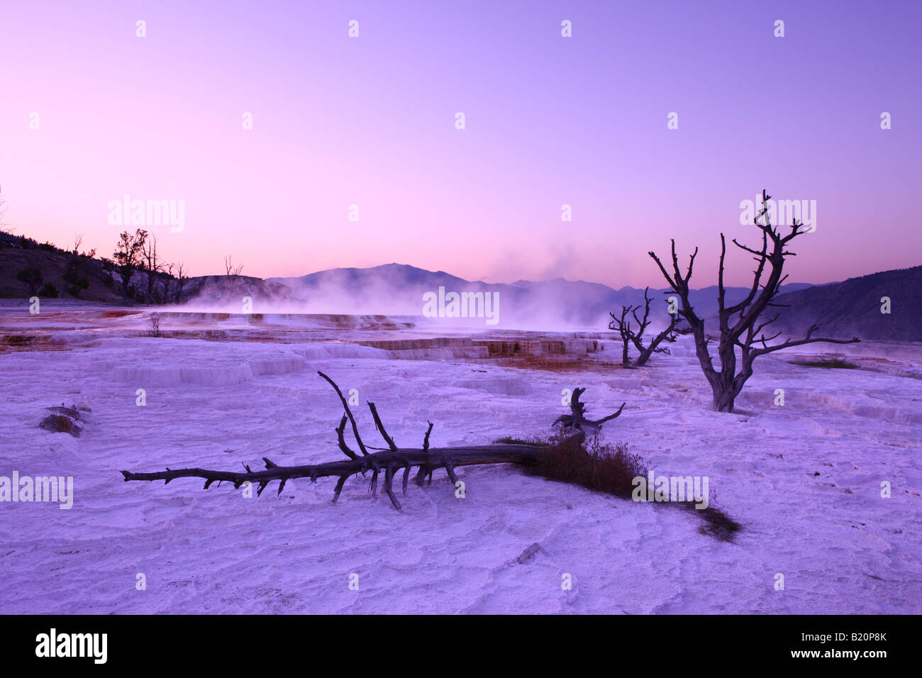 Crepuscolo in alto a Terrazzi Mammoth Hot Springs Yellowstone National Park Wyoming USA Foto Stock