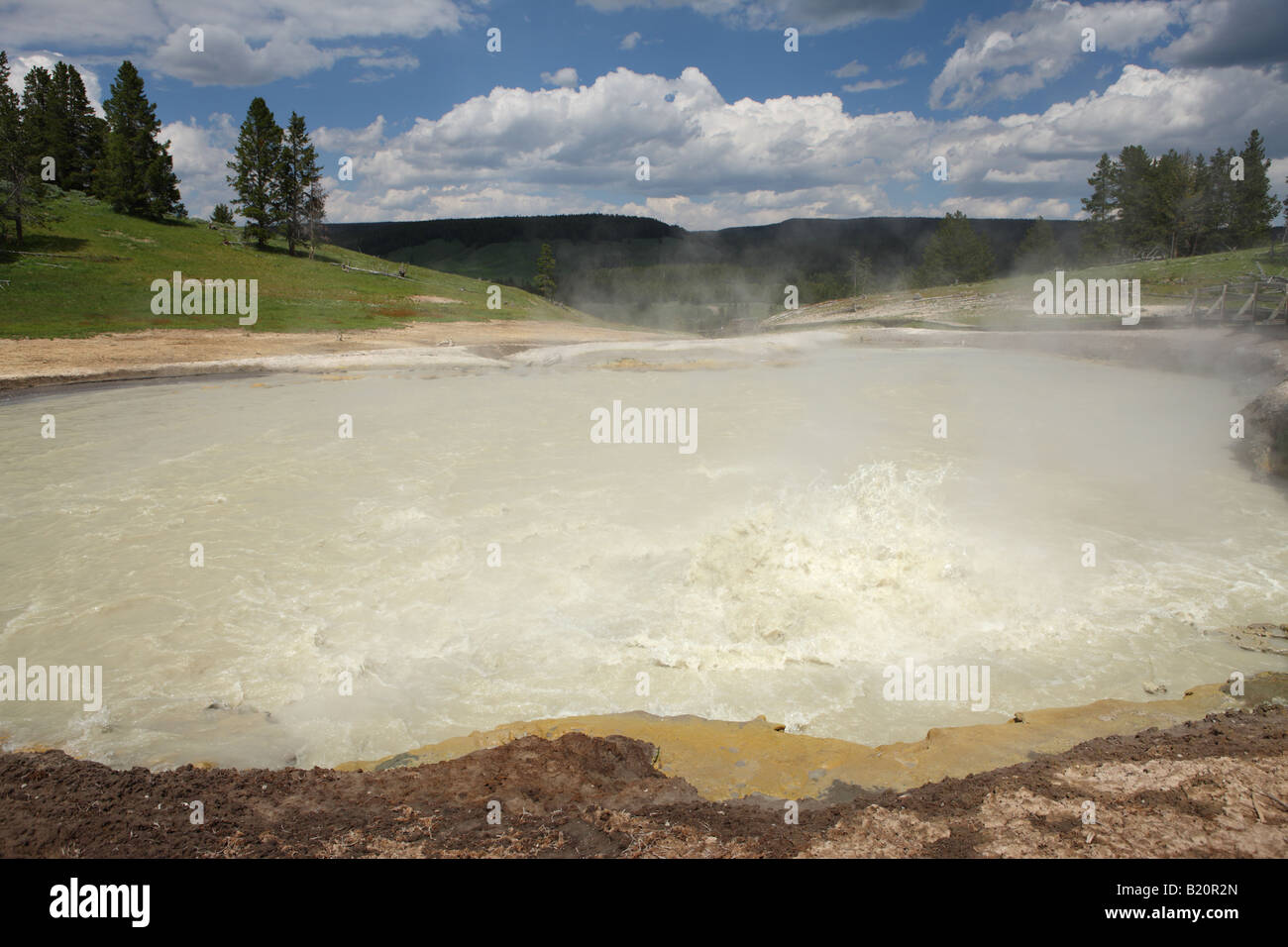 La zangolatura calderone fango Area Vulcano il Parco Nazionale di Yellowstone Foto Stock