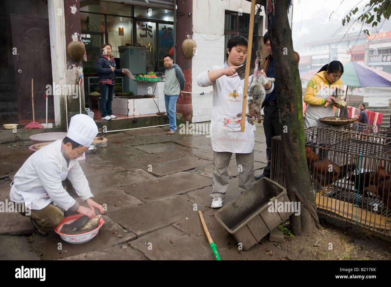 Chefs cinesi che la pelle di coniglio e pollo pluck a cucinare per i clienti del ristorante a Bao Ding vicino a Chongqing Cina Foto Stock