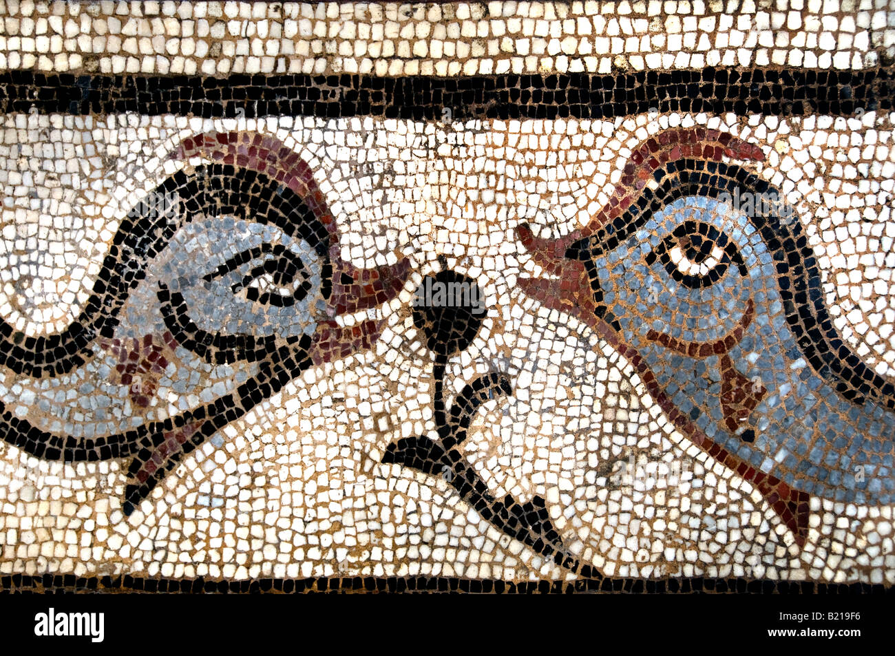 Sezioni di pesce dei mesi e delle stagioni marciapiede iv secolo D.C. Cartagine greco Grecia mitologia archeologia classica storia Foto Stock