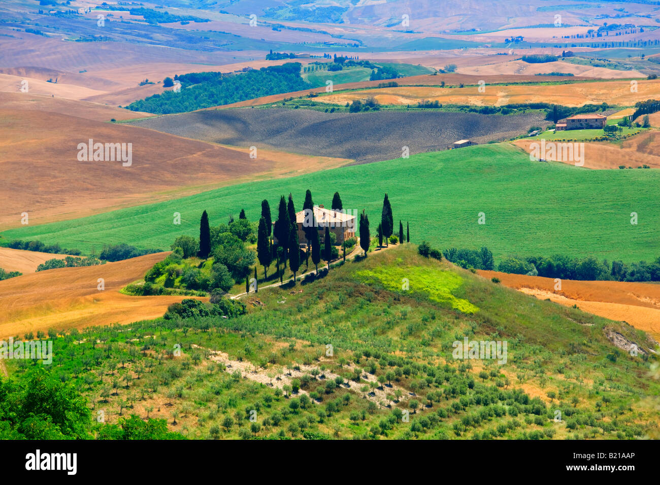 Il paesaggio nei pressi di Pienza in Toscana Foto Stock