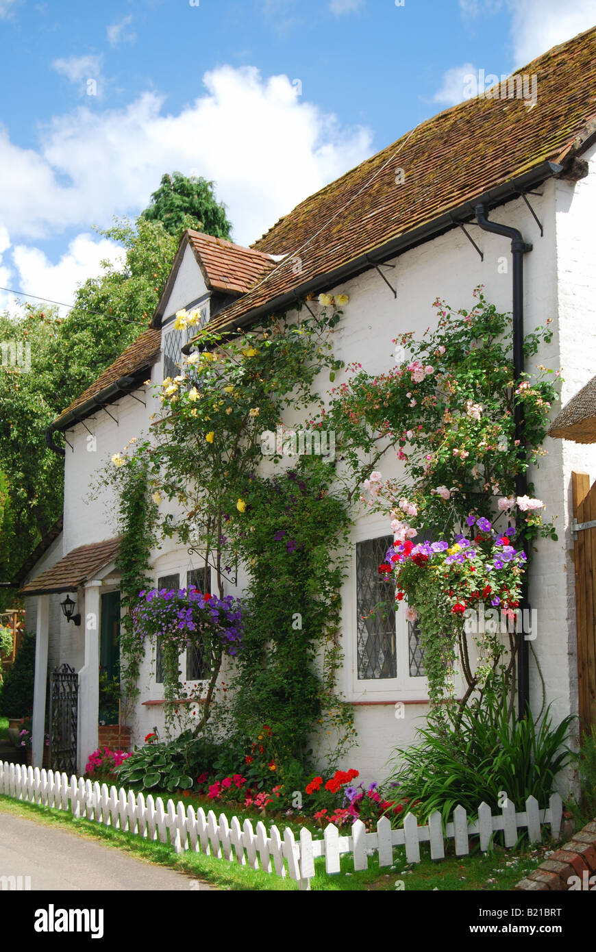Cottage di campagna, Micheldever, Hampshire, Inghilterra, Regno Unito Foto Stock