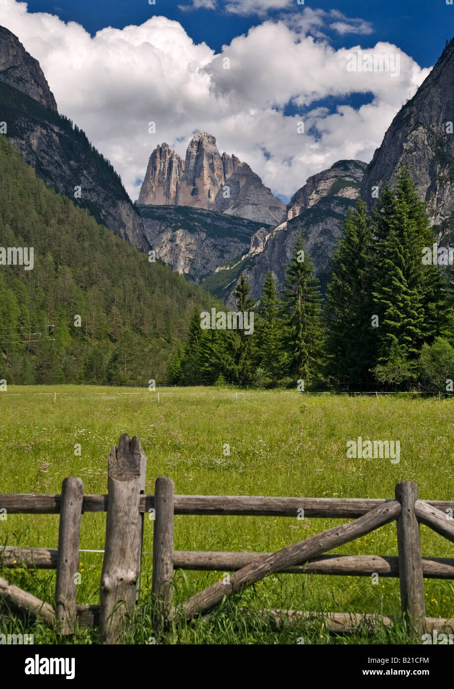 Tre Cime di Lavaredo (Drei Zinnen) dall'Cimabianche Pass, Belluno, Italia Foto Stock