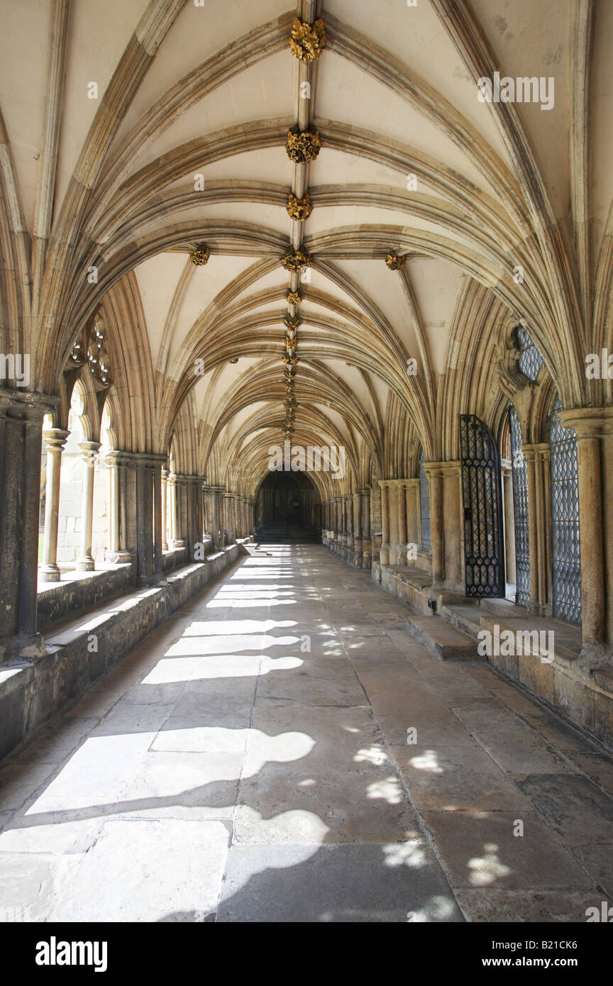Chiostri a Norwich Cathedral Regno Unito Foto Stock