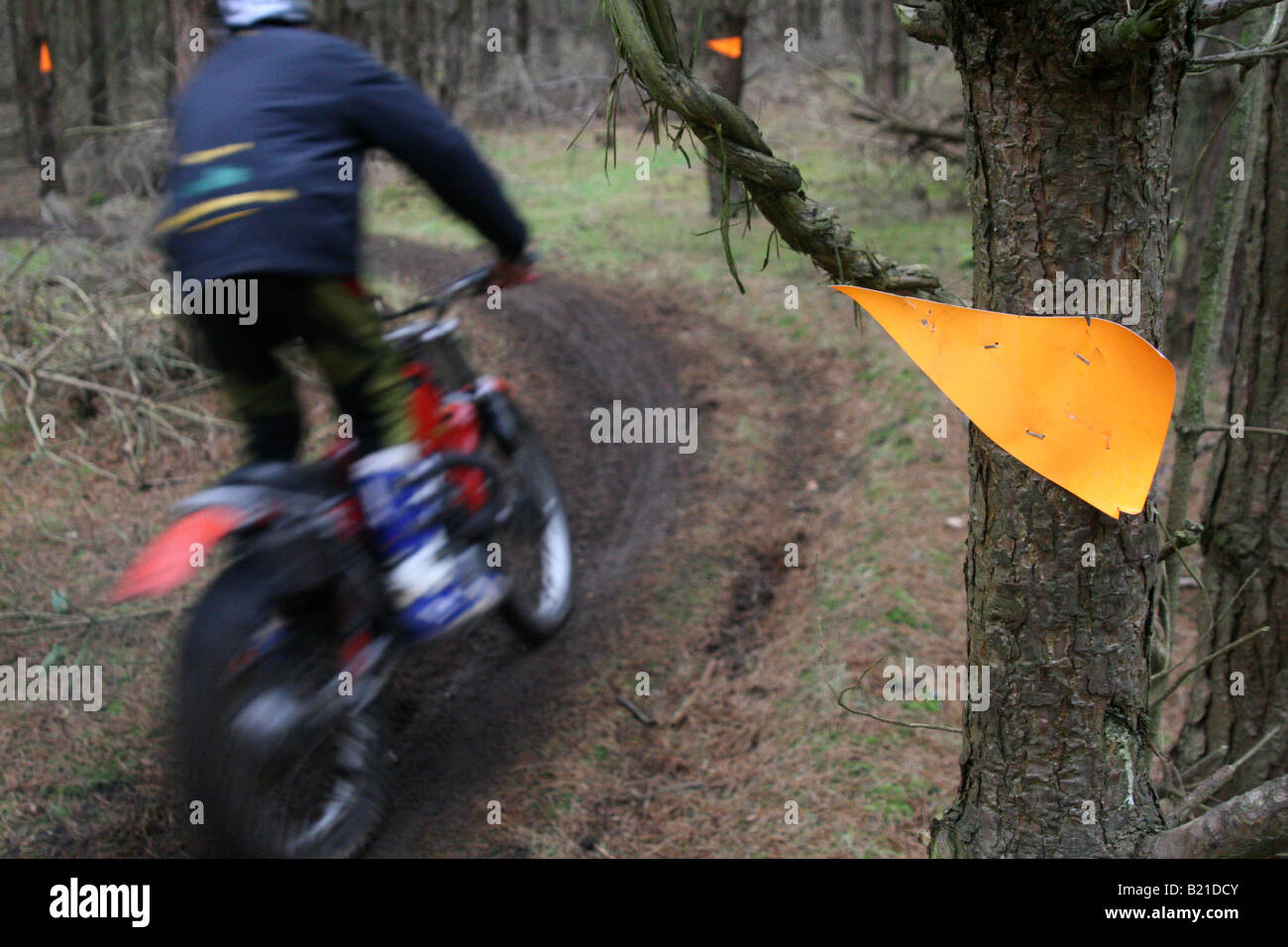 Motociclo triallist scorre tra le sezioni in una foresta di Suffolk Foto Stock