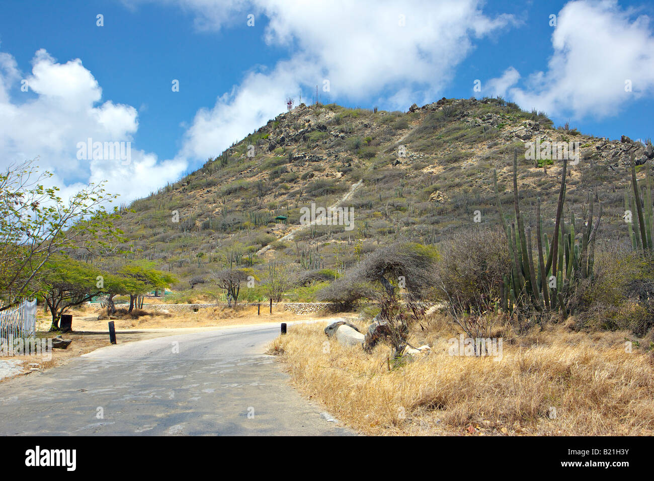 Hooiberg hill su Aruba Foto Stock