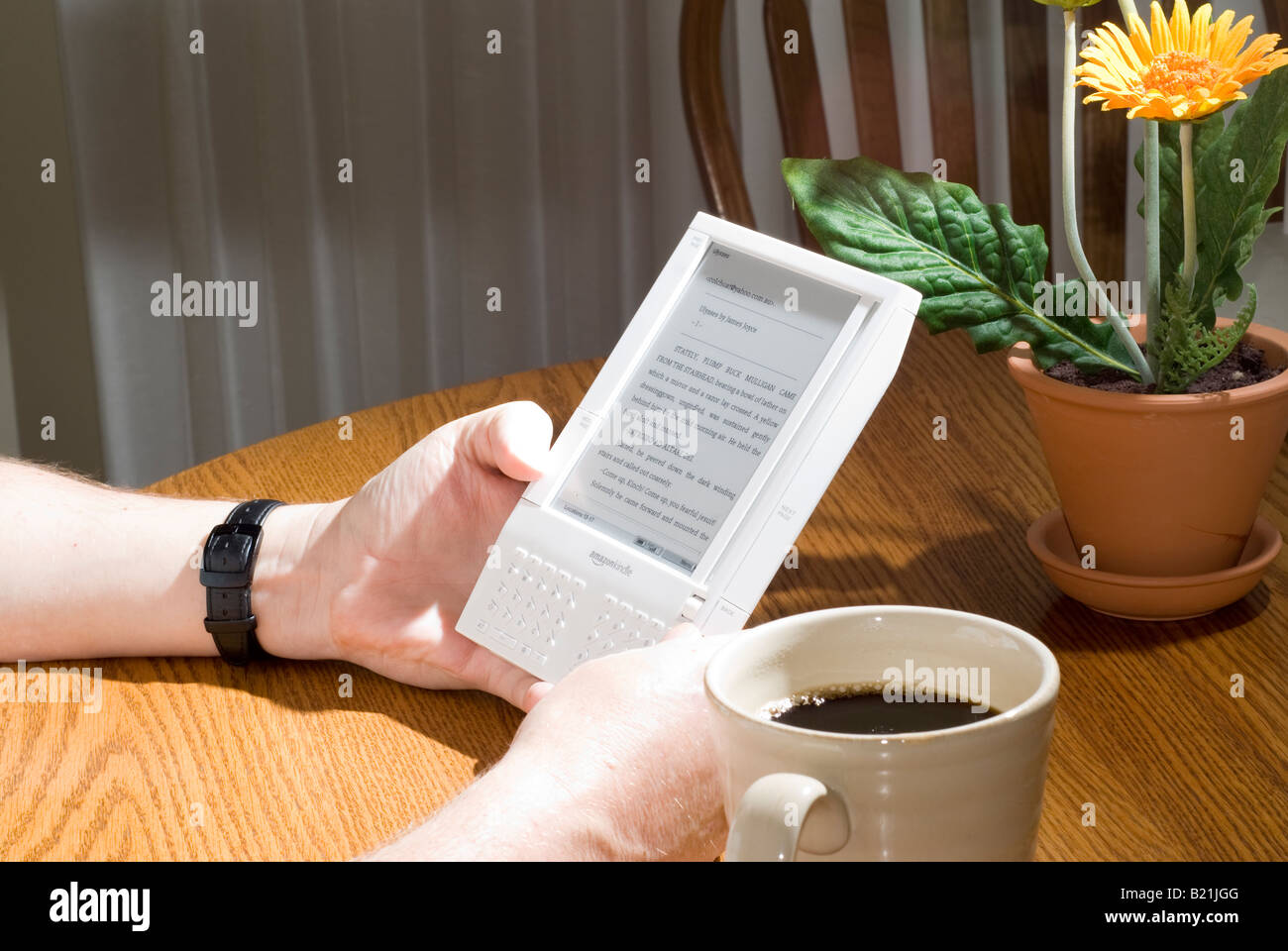 La lettura di James Joyce Ulisse su Kindle Reader di eBook Foto Stock