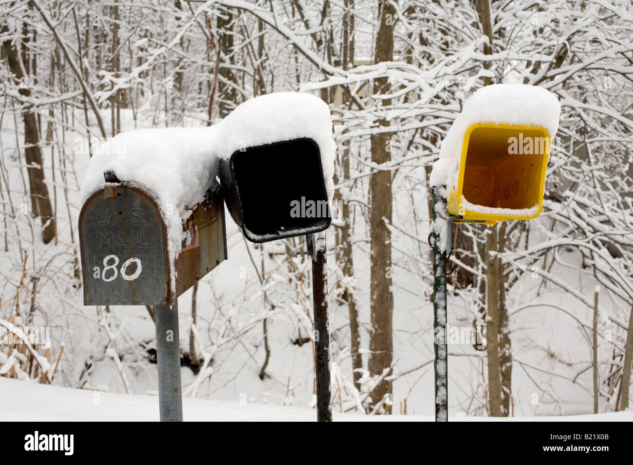 Una cassetta postale e scatole di giornale la linea fino al bordo di una nuova Inghilterra boschi in inverno Foto Stock