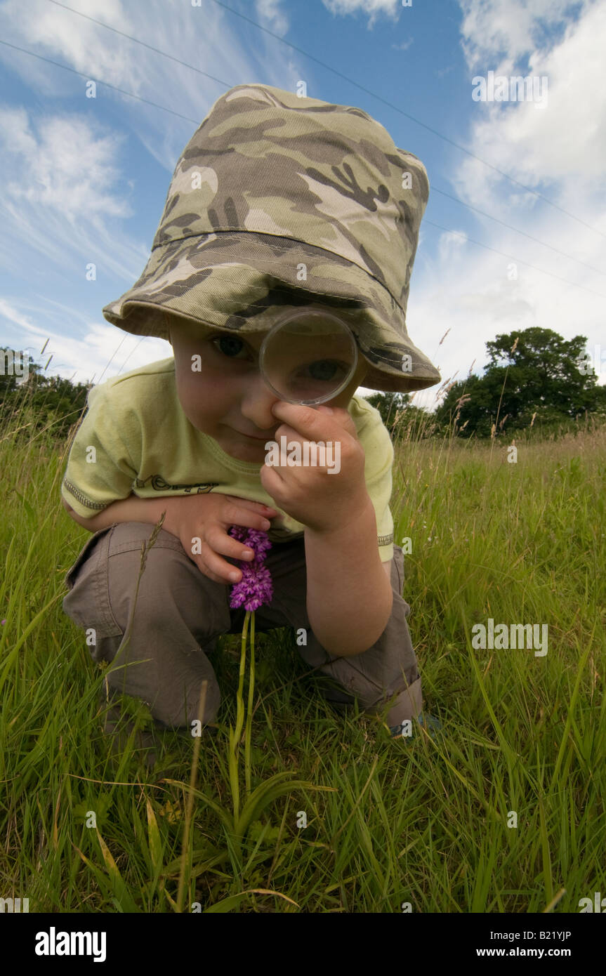 Ragazzo che guarda a Orchide Anacamptis pyramidalis fiori Foto Stock