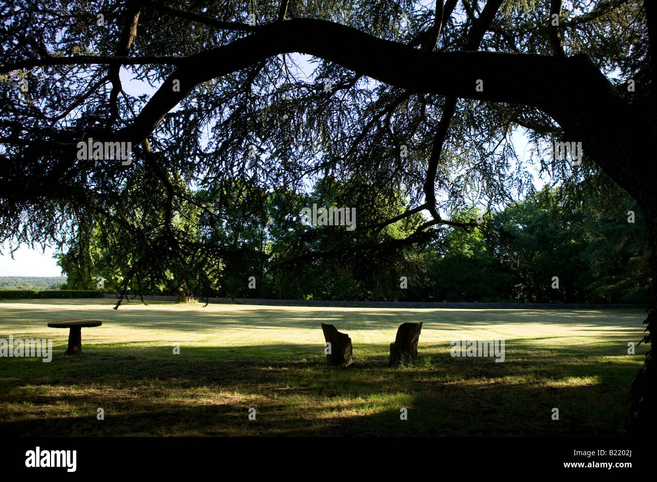 Due sedie e un tavolo sotto un albero in un giardino Foto Stock