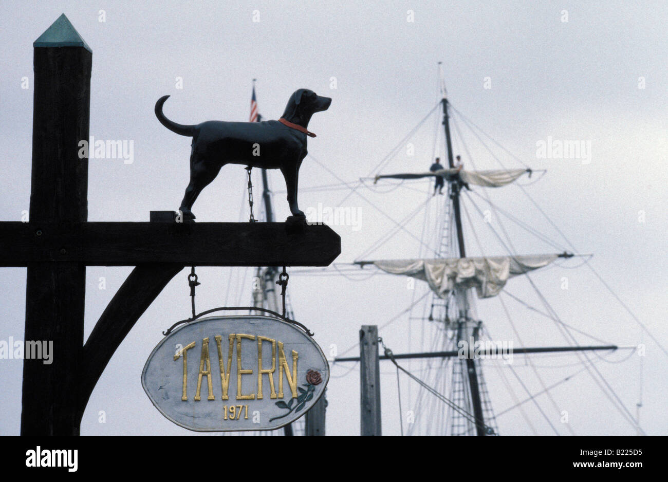 Dal pacchetto coastwise Black Dog Tavern Tisbury MA Foto Stock