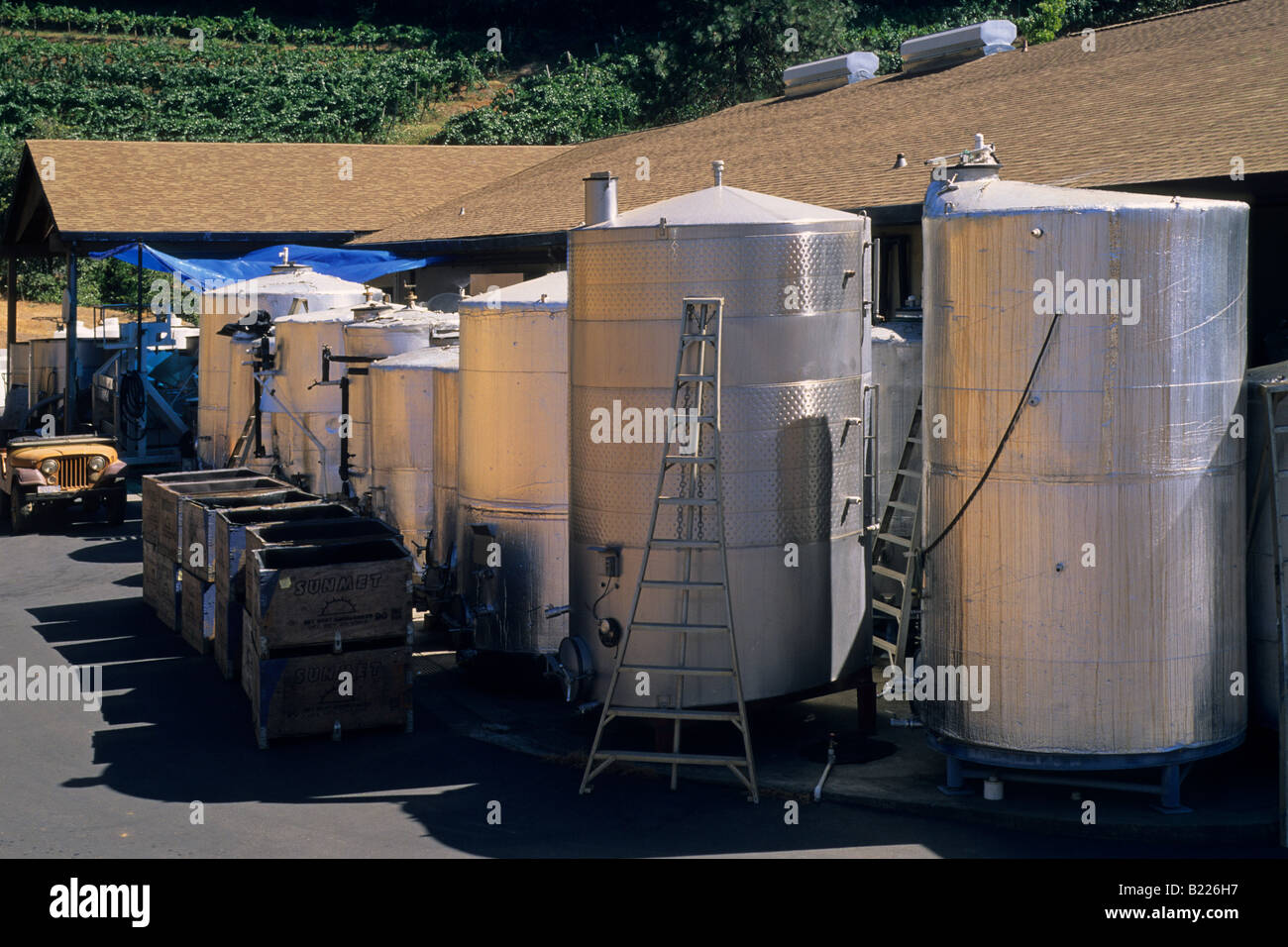 Boeger Cantina vicino a Placerville El Dorado County in California Foto Stock