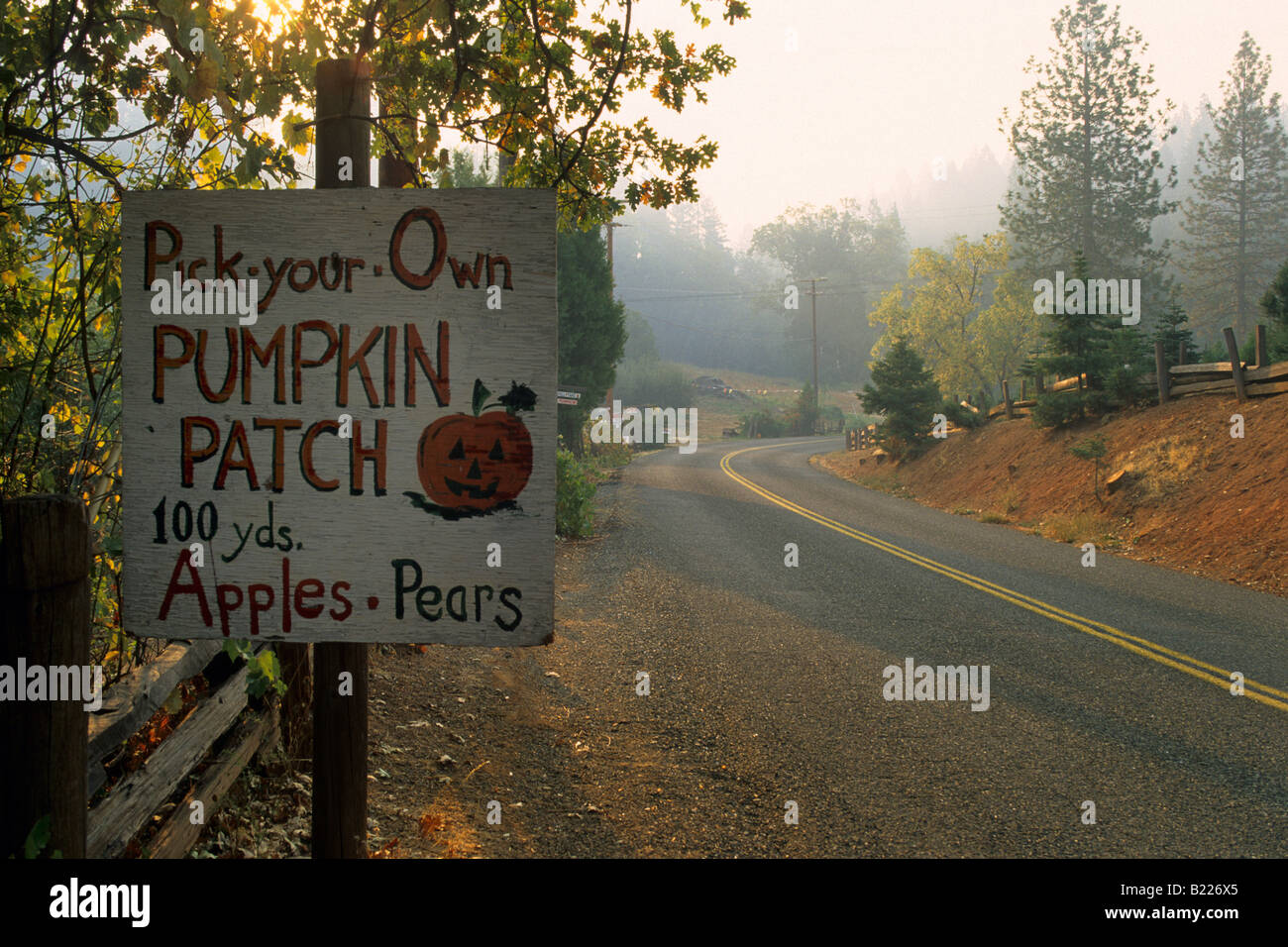 Cartello stradale per pumpkin patch Ranch Goyettes Apple Farm Camino  Eldorado County in California Foto stock - Alamy