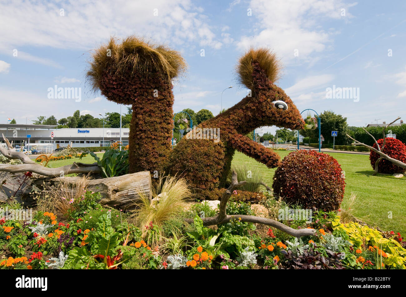 Casella Topiaria da copertura effige di scoiattolo sulla rotonda, Descartes, Indre-et-Loire, Francia. Foto Stock