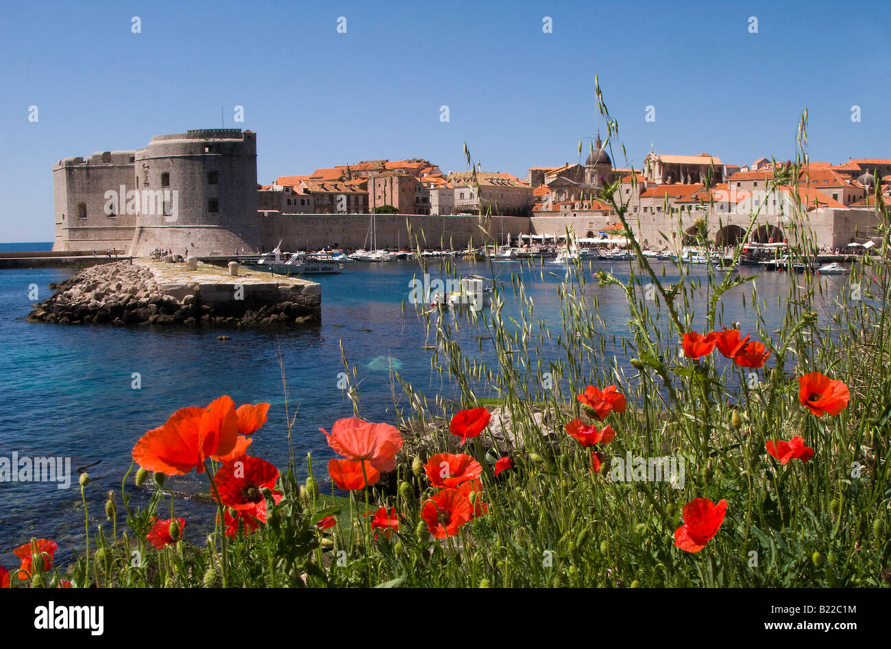 Dubrovnik la città vecchia e il porto con le fortificazioni, Croazia, Balcani Foto Stock