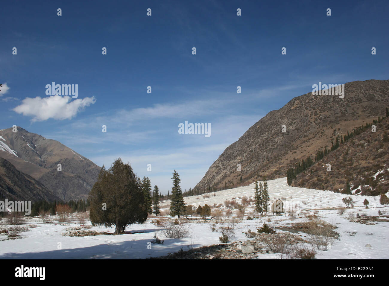 Vista sull'Ala Archa il parco nazionale di un parco situato a circa 40 km a sud della capitale Bishkek Kirghizistan Foto Stock