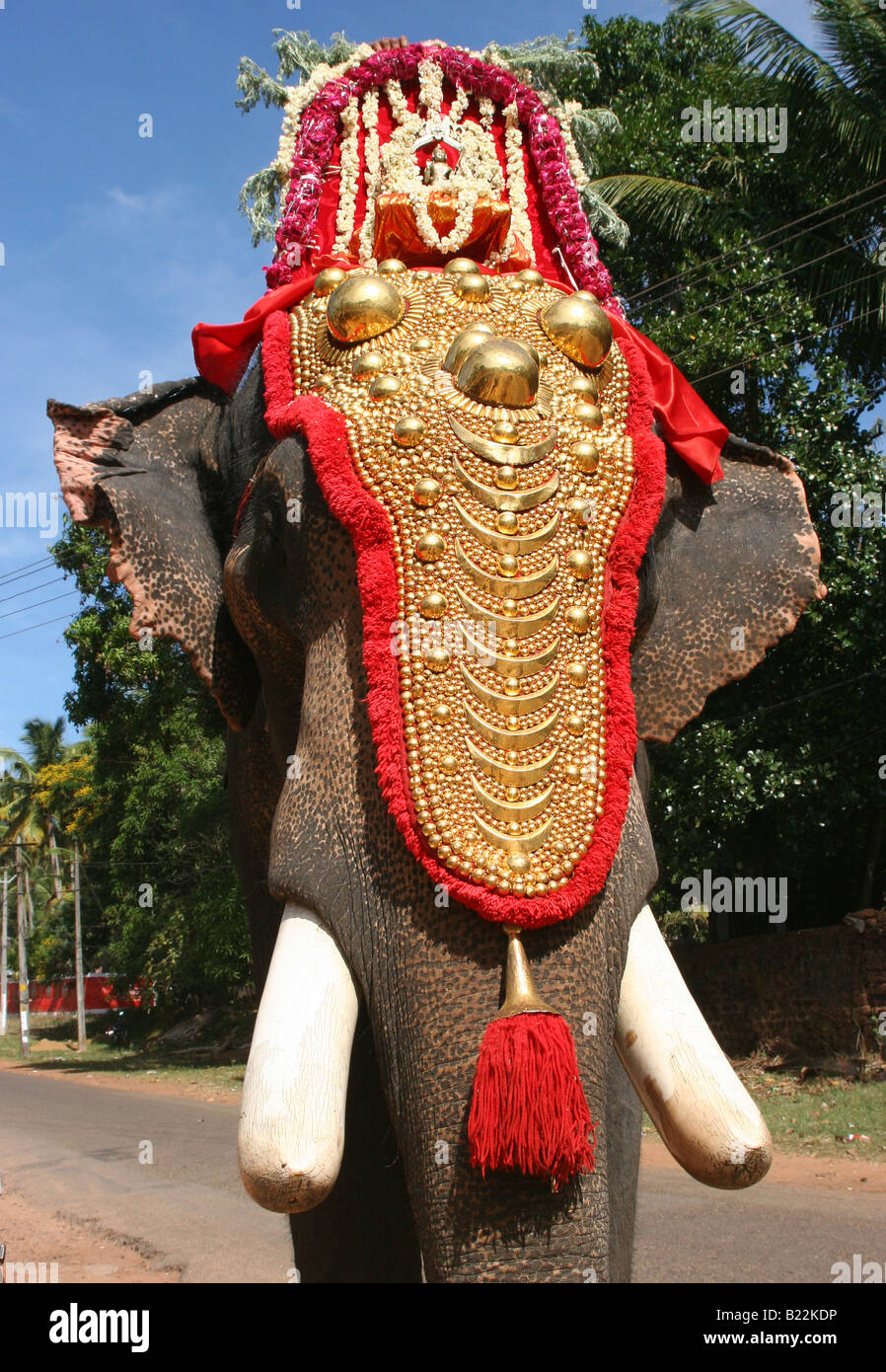 Riccamente decorato tempio cerimoniali con elefante con oro caparison. Il Kerala India 2008 Foto Stock