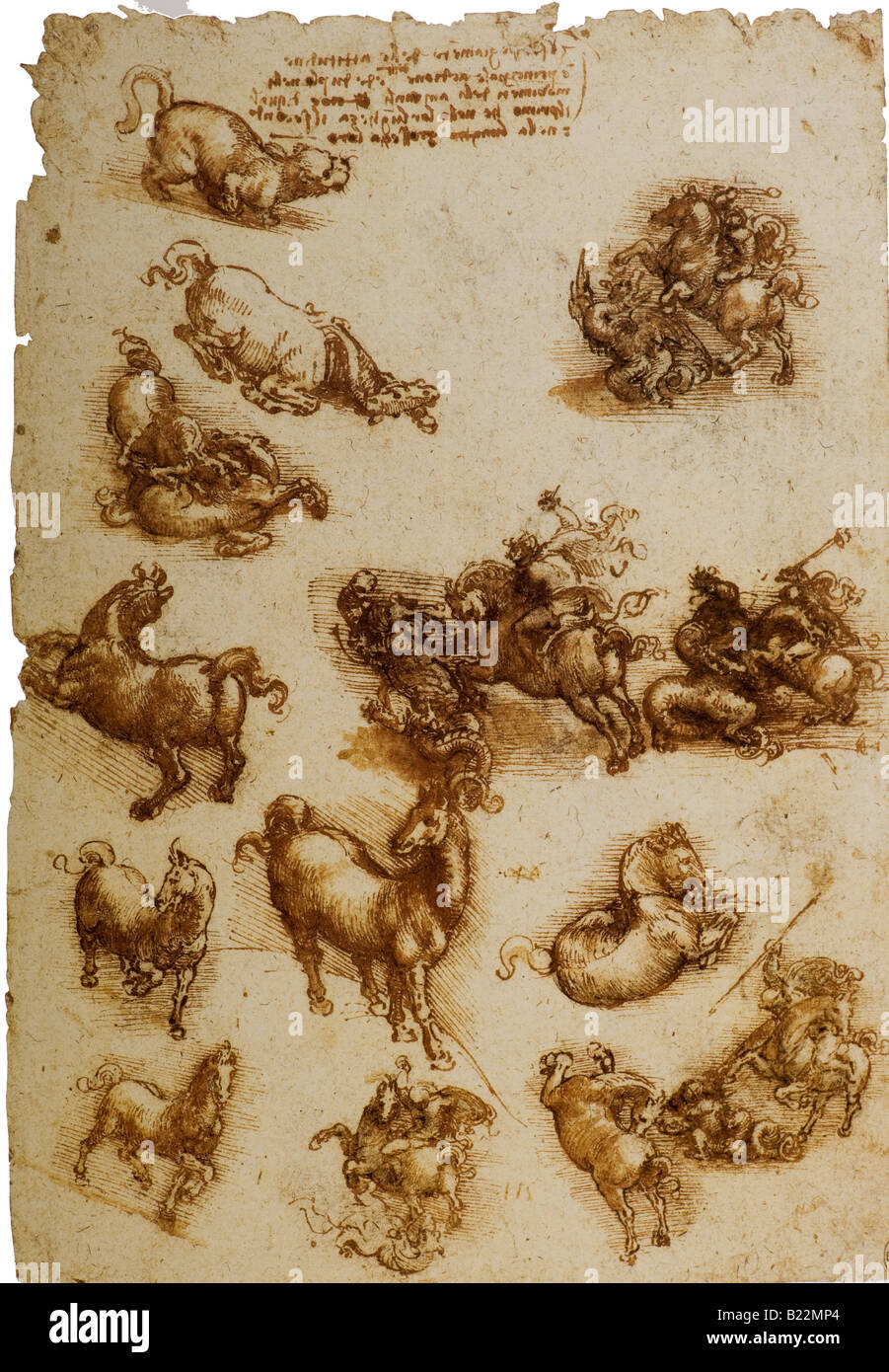 Studi di cavalli, un gatto e lotta con un drago di Leonardo da Vinci 1508 Foto Stock