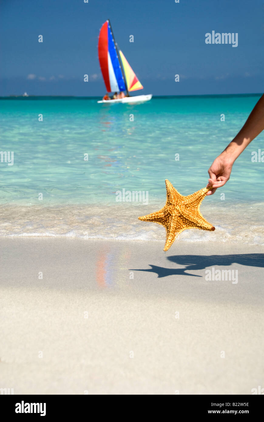 Seascape con una stella e una nave a vela Foto Stock