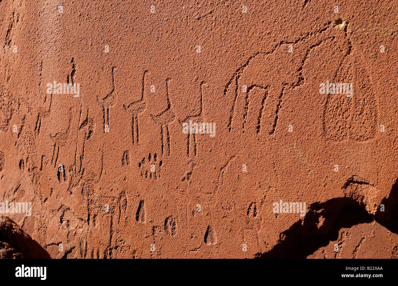 Le incisioni rupestri di San tribù, Twyfelfontein monumento nazionale, Damaraland, Namibia, Africa Foto Stock