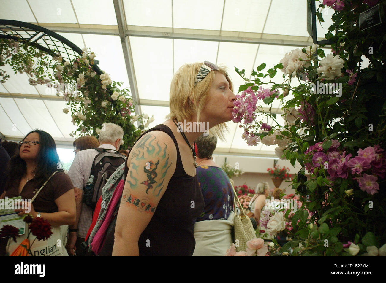 Una donna con un tatuaggio sul suo braccio odorare una rosa a Hampton Court Flower Show Foto Stock