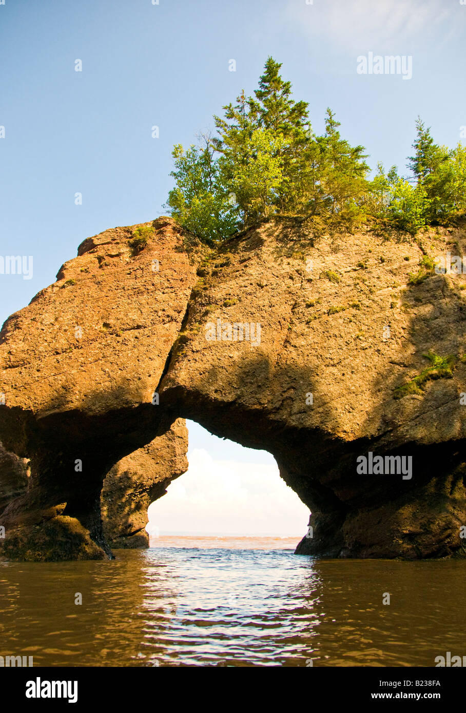 Canada New Brunswick Hopewell rocce di alta marea Baia di Fundy Coprivaso Rock Foto Stock