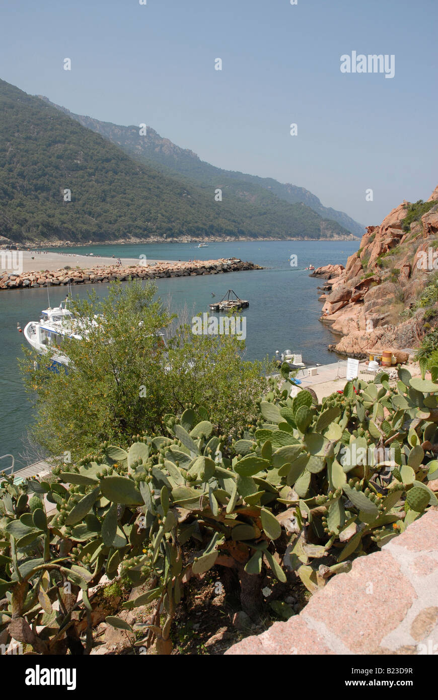 Porto sulla mezza costa nord occidentale della Corsica Foto Stock