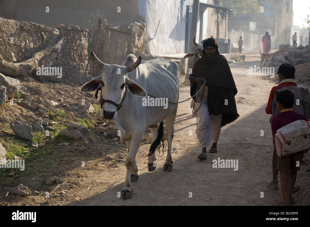 Uomo che cammina con cow oltrepassando scolari in un villaggio rurale in Rajasthan al mattino presto Foto Stock