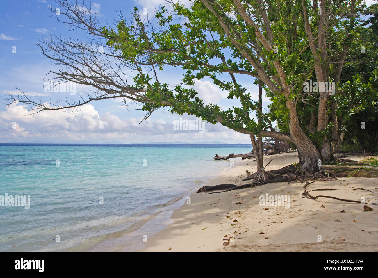 La spiaggia su un lato tranquillo di Sipadan Island Malaysia Sabah Foto Stock