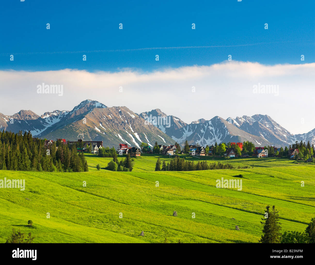 Vista Monti Tatra dal Podhale Foto Stock
