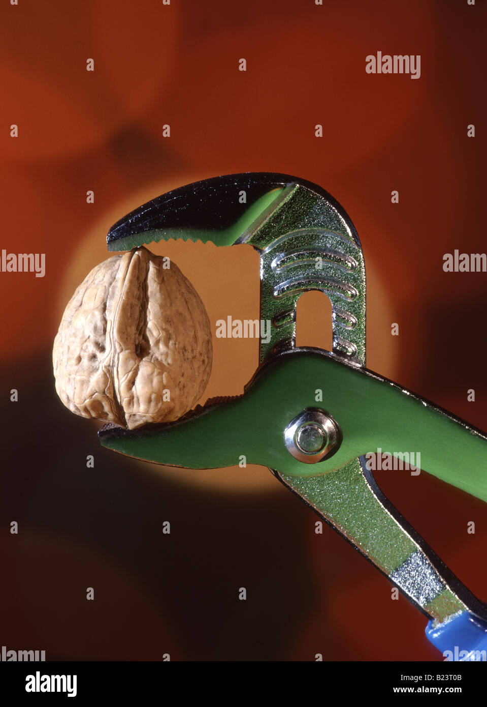 Primo piano immagine del concetto di dado duro a cremagliera del noce tenuto nelle ganasce della chiave per tubo nel Regno Unito Foto Stock