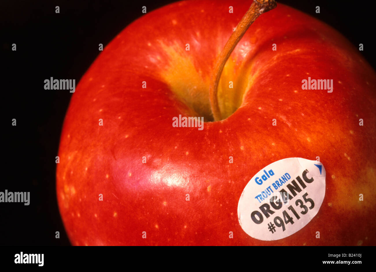 Apple organico con adesivo pomacee genere Malus Foto Stock