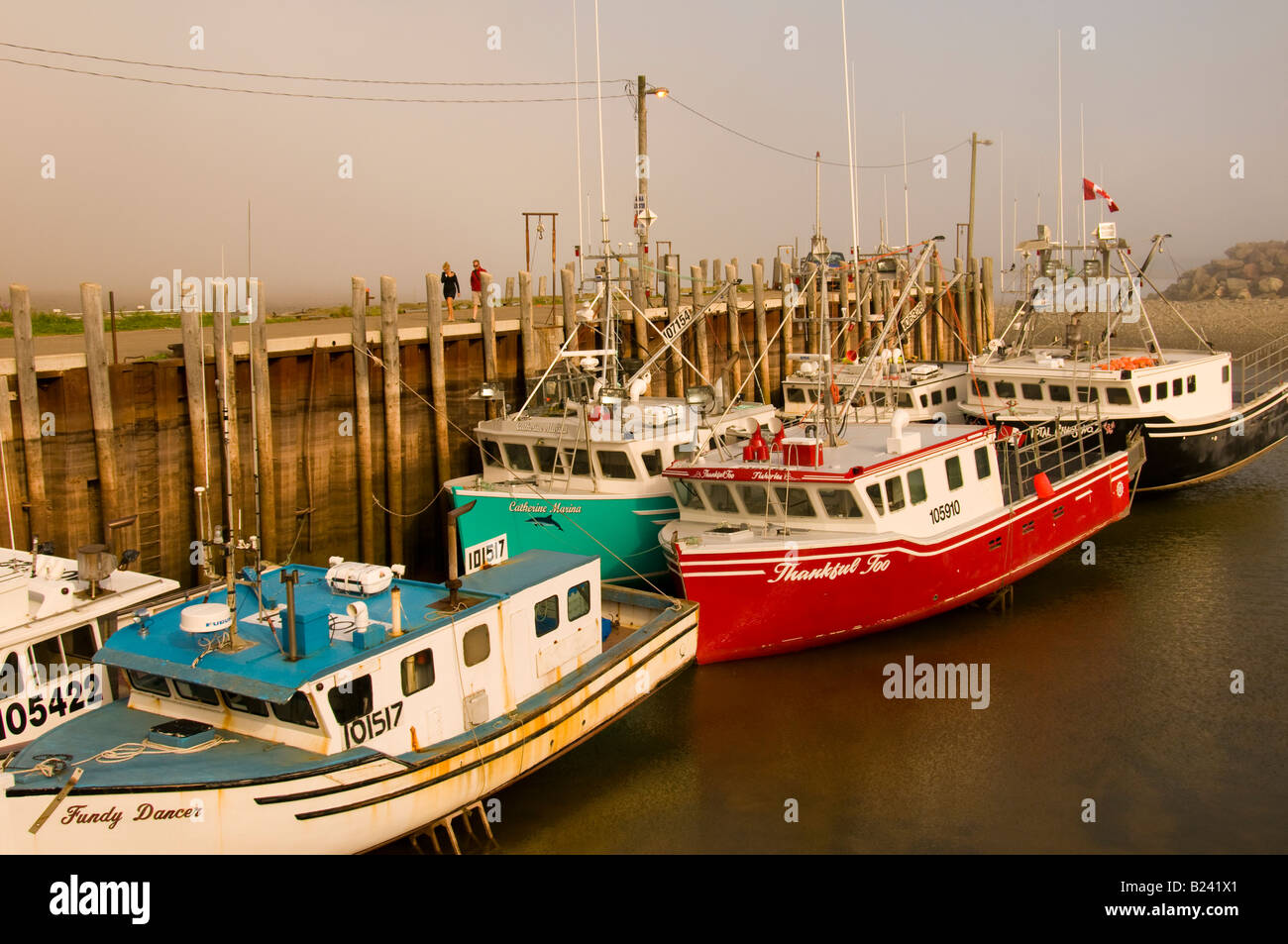 Canada, New Brunswick, commerciale colorate barche da pesca Alma Wharf alla base di Fundy National Park Foto Stock