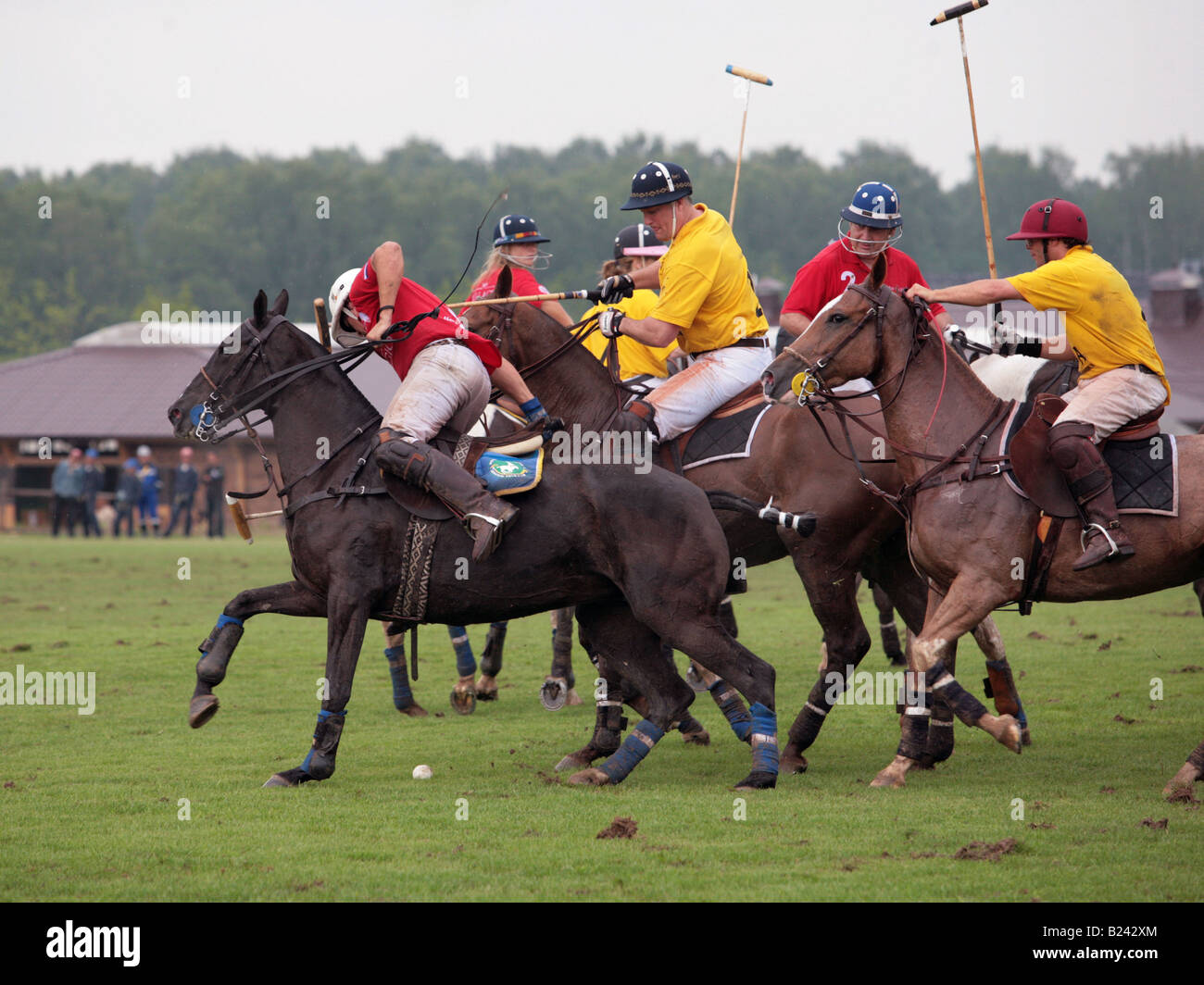 Azione di Polo troppo Foto Stock