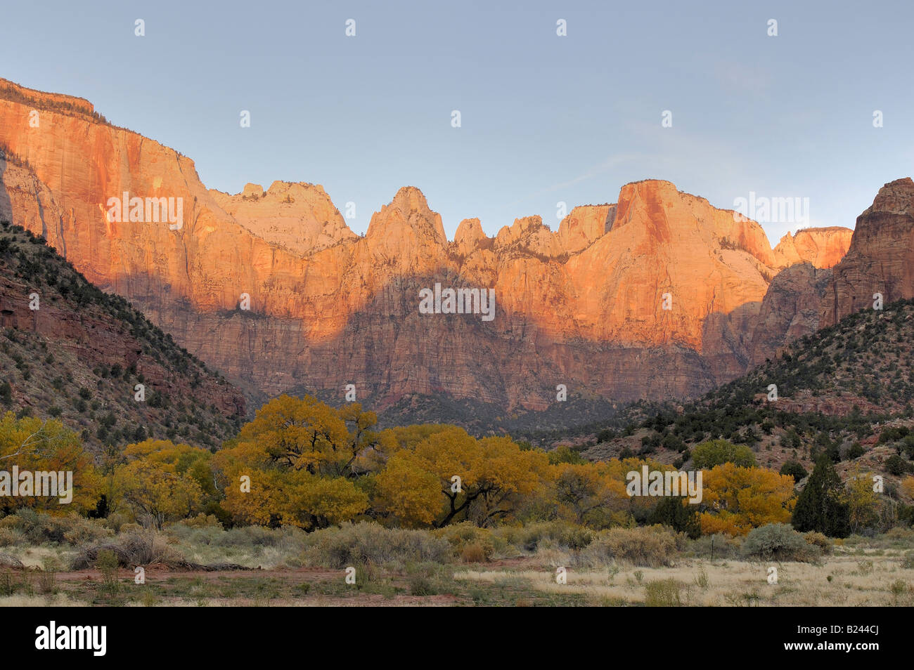 Alba dipinge le torri della Vergine competeing rosso con il giallo del fogliame di autunno nel Canyon Zion National Park Foto Stock