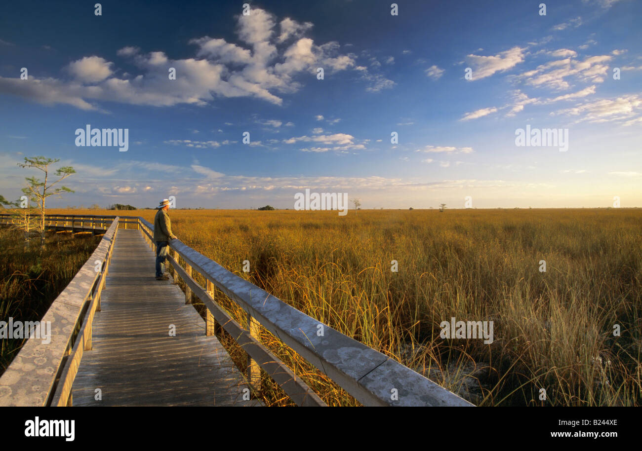 Il fiume di erba da fieno Pa okee boardwalk, visitatore di sunrise, Nat Everglades Park Florida USA Foto Stock