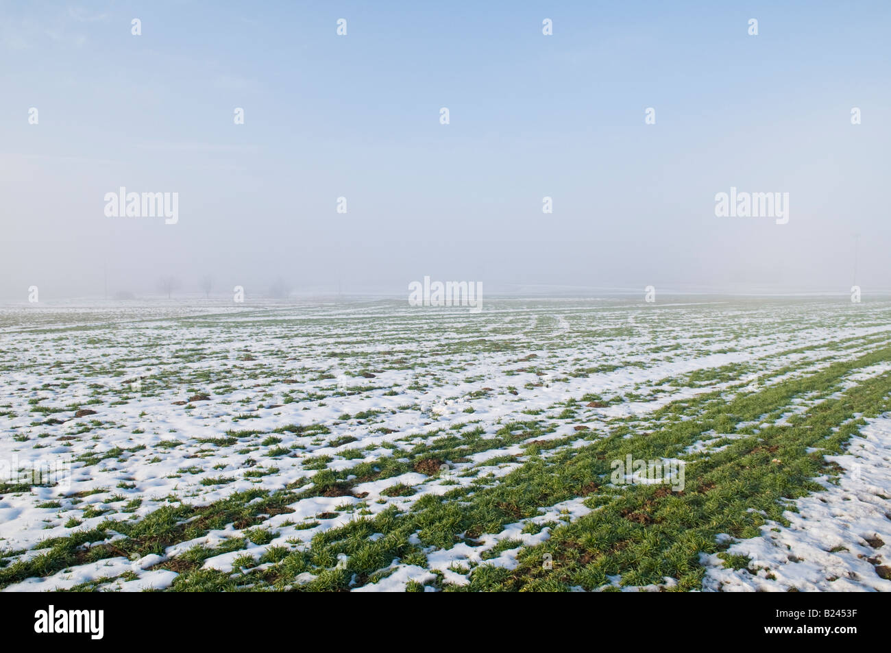 Campo di fattoria parzialmente coperto di neve, Baviera, Germania Foto Stock