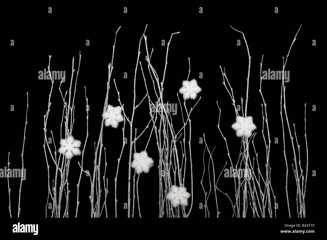 Ramoscelli e fiocchi di neve Foto Stock