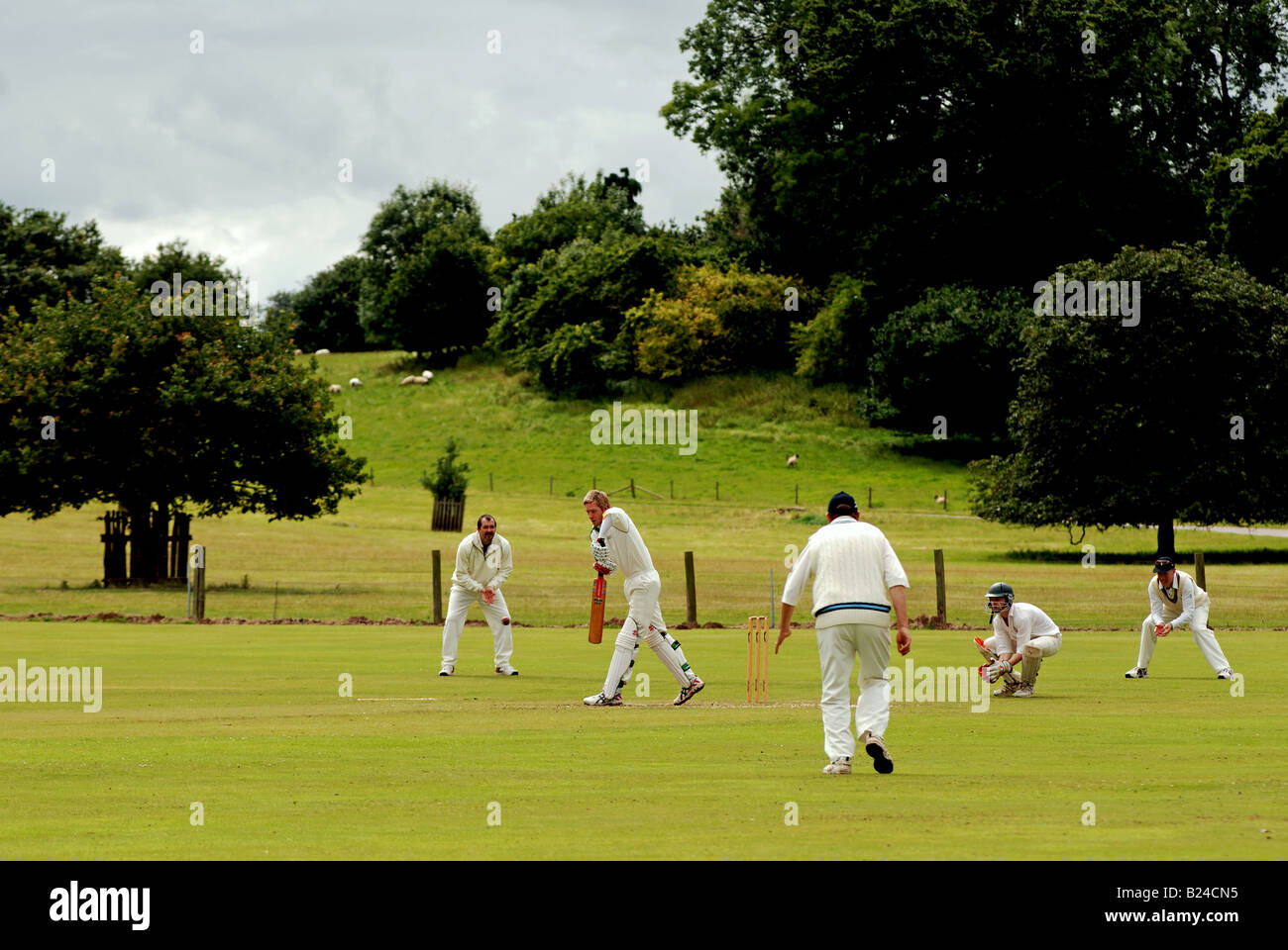 Village cricket a Ragley Hall, Warwickshire, Inghilterra, Regno Unito Foto Stock