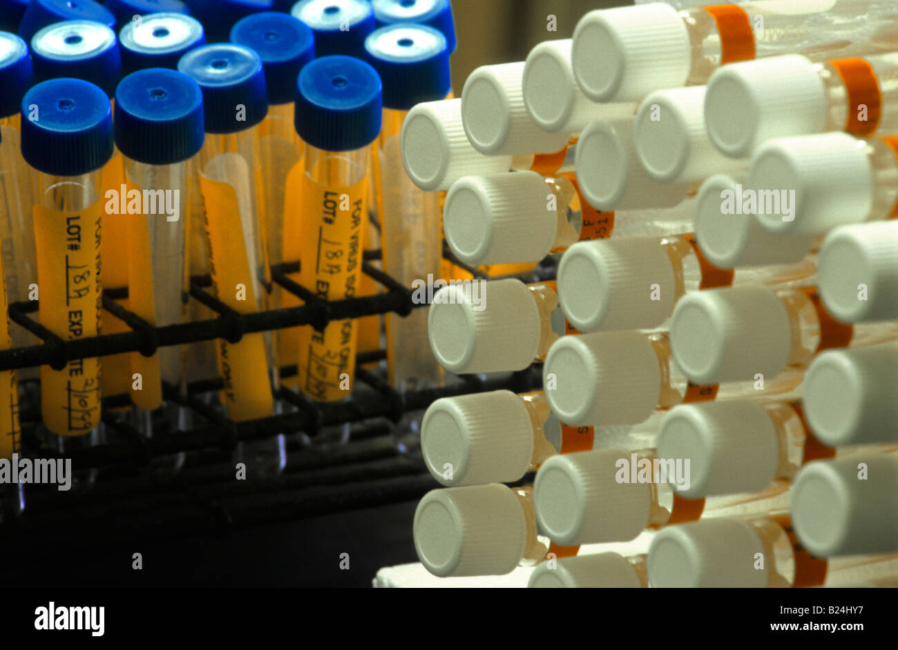 Laboratorio di Virologia provette tappate le provette per la prova Foto Stock