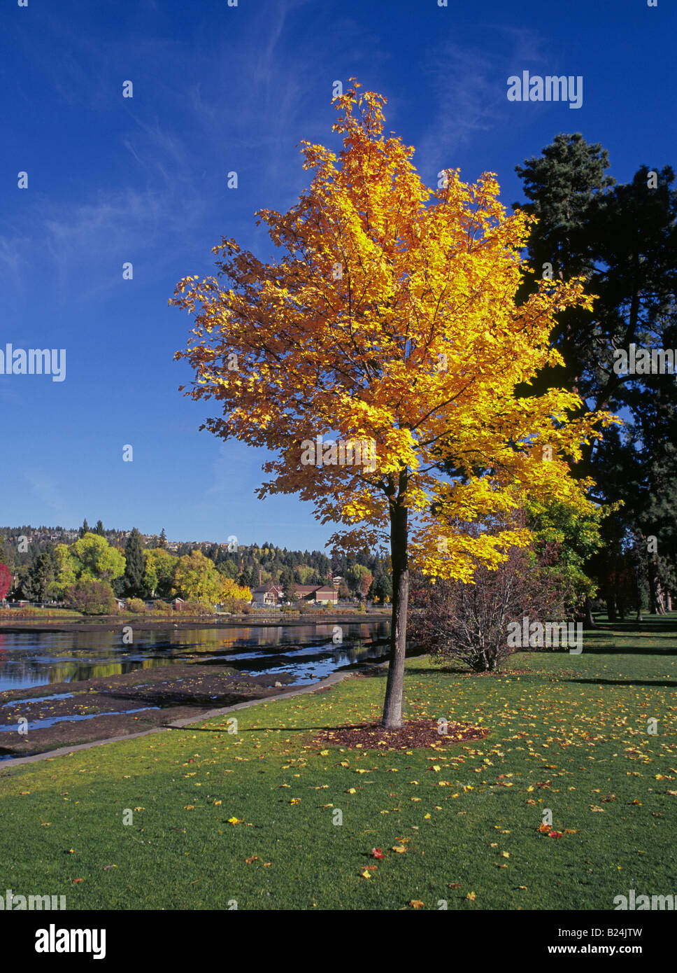 Arriva l'autunno a Drake parco lungo il fiume Deschutes nella sezione storica della curvatura Oregon Foto Stock